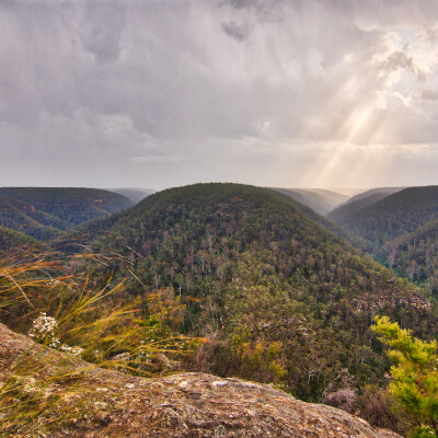 Buxton Plateau & Ladies Waist Lookout